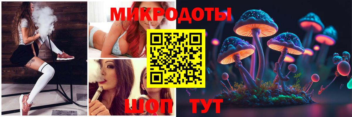 Псилоцибиновые грибы Cubensis Славгород