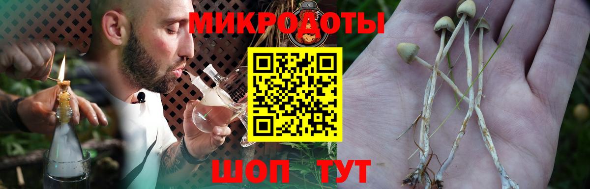 Галлюциногенные грибы мухоморы  Вход с VPN  Славгород  Псилоцибиновые грибы Cubensis 