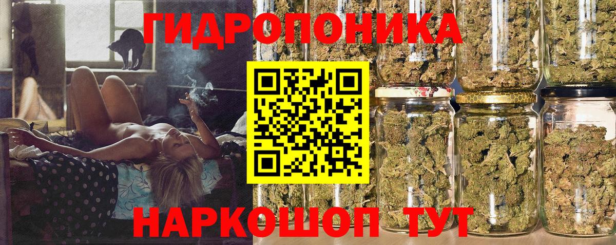 Конопля Ganja Славгород
